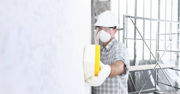 Reliable Vernon Hills, IL Mold Inspection Solutions